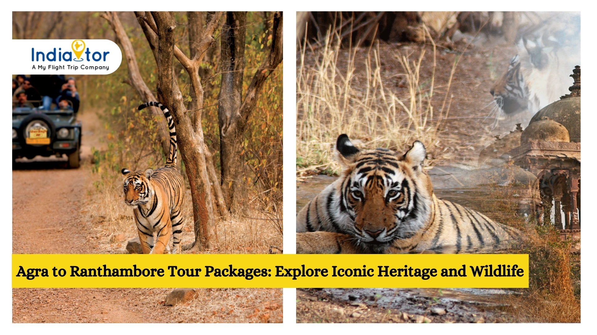 Agra to Ranthambore Tour Packages: Explore Iconic Heritage and Wildlife